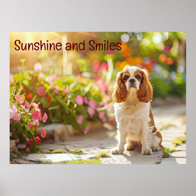 Sunlit Garden Stroll:Cavalier King Charles Spaniel Poster (Front)
