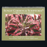 Sunlit Gardens & Scriptures Calendar<br><div class="desc">For anyone who loves a sunlit garden,  this 12-month calendar presents beautiful plants aglow. My inspiration came from passages from the Holy Scriptures (used by both Jews and Christians) from Ecclesiastes,  Daniel,  Psalms,  Proverbs,  Isaiah and Samuel. All mention the joy,  blessings,  and life that light brings.</div>