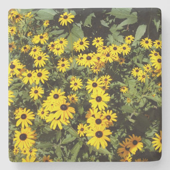 Sunlit Meadow Stone Coaster (Front)