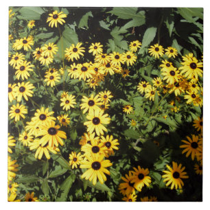 Sunlit Meadow Tile