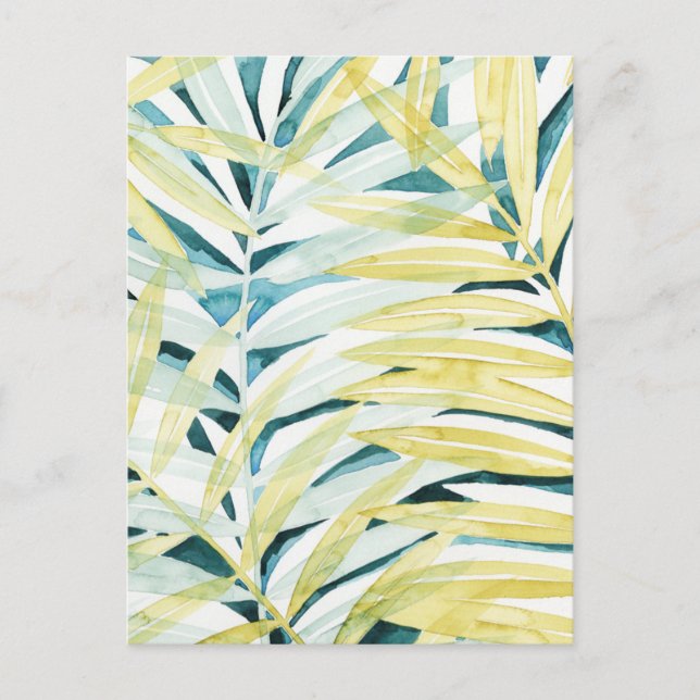 Sunlit Palms - Palm Tree Leaves Postcard (Front)