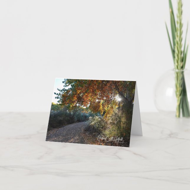 Sunlit Path Note Card (Front)