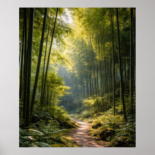 Sunlit Path Through Bamboo Forest Poster