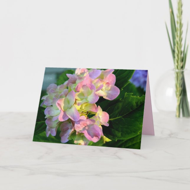 Sunlit Pink Hydrangea Sympathy Card (Front)