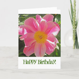 SUNLIT PINK ROSELETTE PEONY/ BIRTHDAY CARD