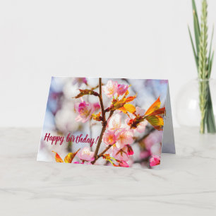 Sunlit Pink Sakura Flowers. Cherry Blossoms Card