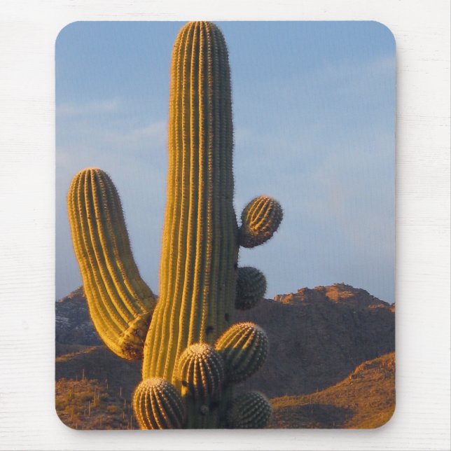 Sunlit Saguaro Cactus - Mousepad (Front)