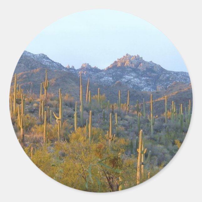 Sunlit Saguaro Field Classic Round Sticker (Front)