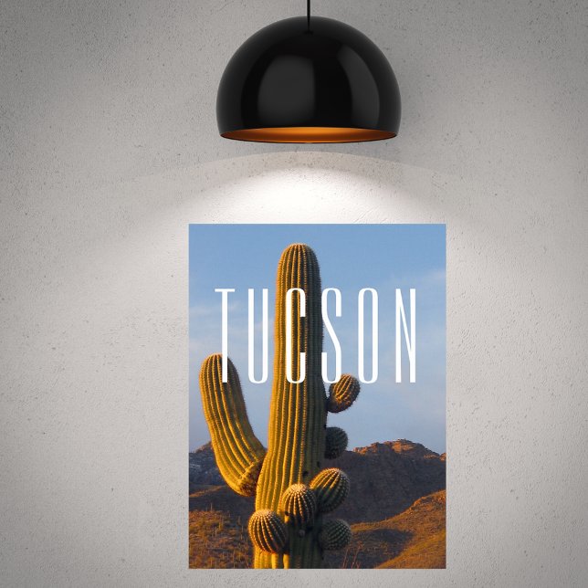 Sunlit Saguaro Tucson Scene Poster (Creator Uploaded)