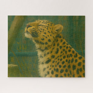 Sunlit Silence – Resting Leopard in Forest Light Jigsaw Puzzle
