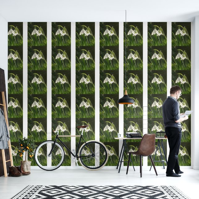 Sunlit Snowdrops Wallpaper (Living Room)
