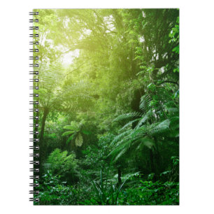Sunlit tree canopy in tropical jungle notebook