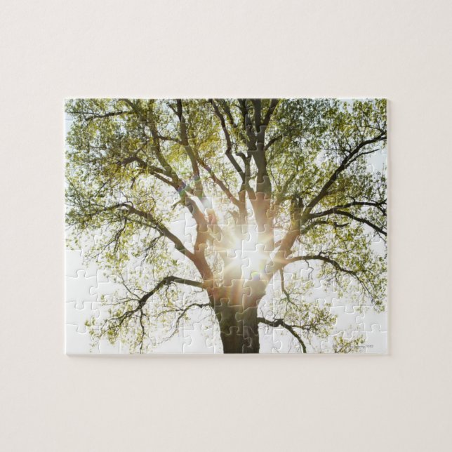 Sunlit Tree Jigsaw Puzzle (Horizontal)