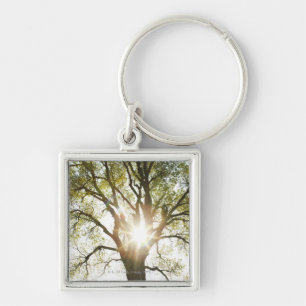 Sunlit Tree Key Ring