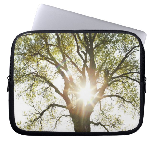 Sunlit Tree Laptop Sleeve (Front)