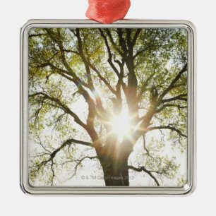Sunlit Tree Metal Tree Decoration
