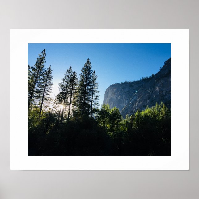 Sunlit Trees Yosemite Color Photography Poster (Front)