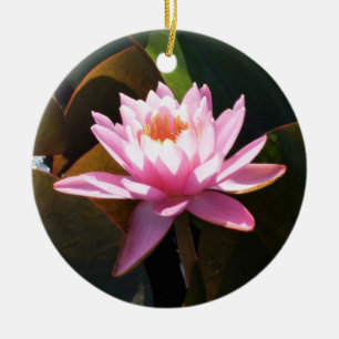 Sunlit Waterlily Pink Floral Water Garden Ceramic Tree Decoration