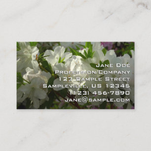 Sunlit White Azaleas Beautiful Spring Flowers Business Card