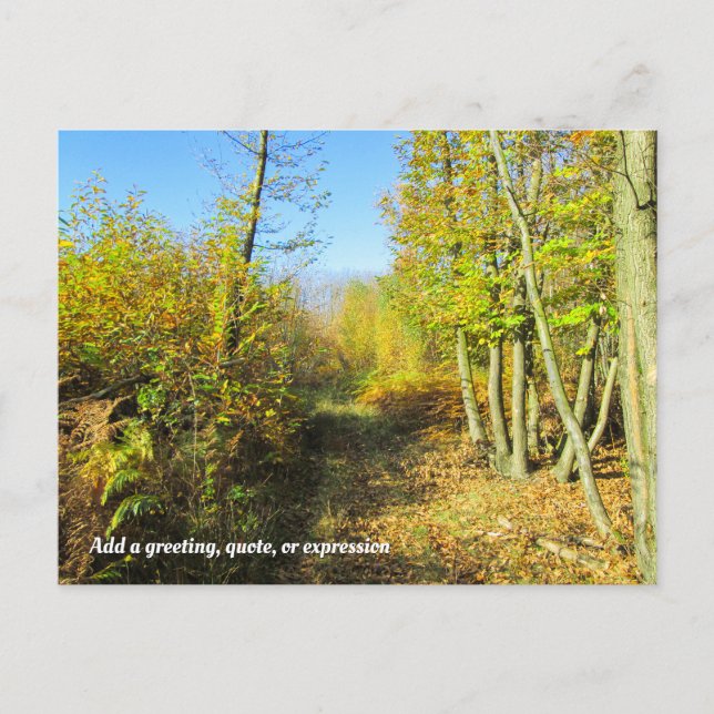 Sunlit Woods in Autumn - Personalized Postcard (Front)