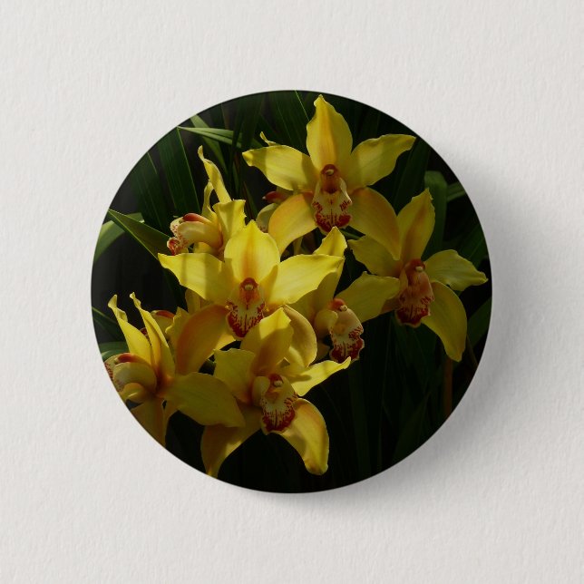 Sunlit Yellow Orchids Floral 6 Cm Round Badge (Front)