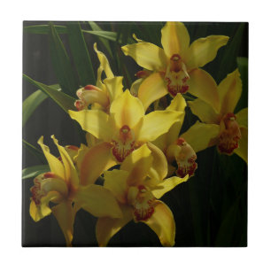Sunlit Yellow Orchids Floral Ceramic Tile