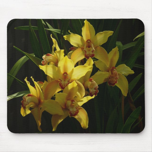 Sunlit Yellow Orchids Floral Mouse Pad (Front)