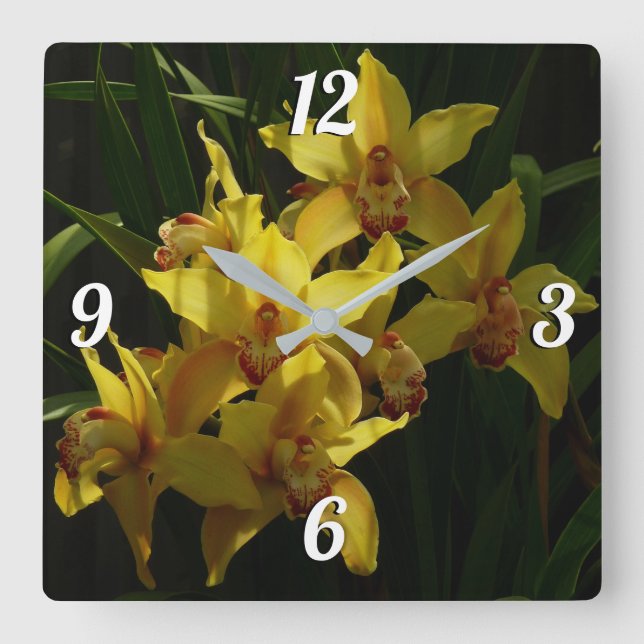 Sunlit Yellow Orchids Floral Square Wall Clock (Front)