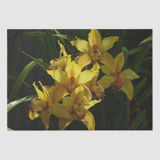 Sunlit Yellow Orchids Floral Tissue Paper (Front)