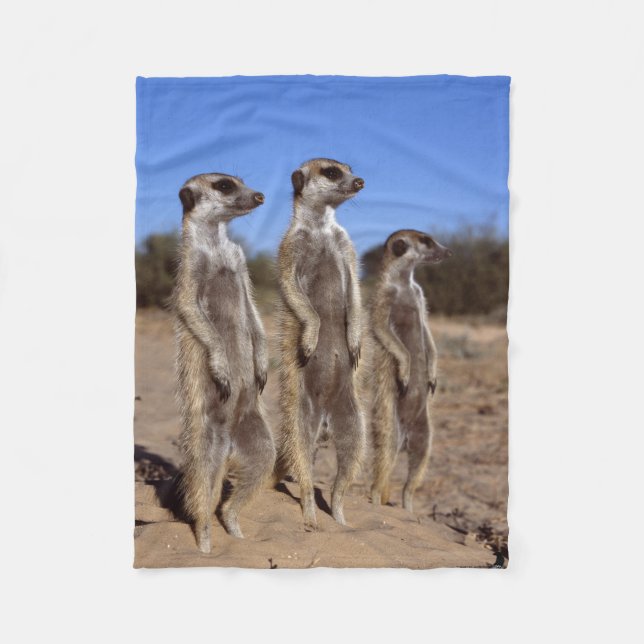 Sunning Meerkats Fleece Blanket (Front)