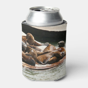 Sunning Sea Lions in San Francisco Can Cooler