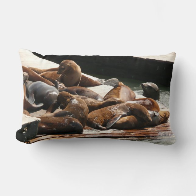Sunning Sea Lions in San Francisco Lumbar Cushion (Front)