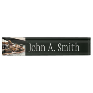Sunning Sea Lions in San Francisco Nameplate