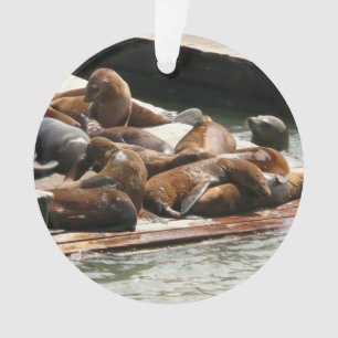 Sunning Sea Lions in San Francisco Ornament