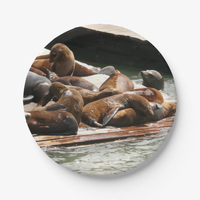 Sunning Sea Lions in San Francisco Paper Plate (Front)