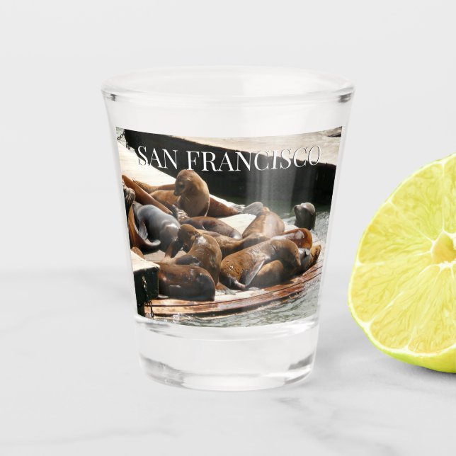 Sunning Sea Lions in San Francisco Shot Glass (Front)