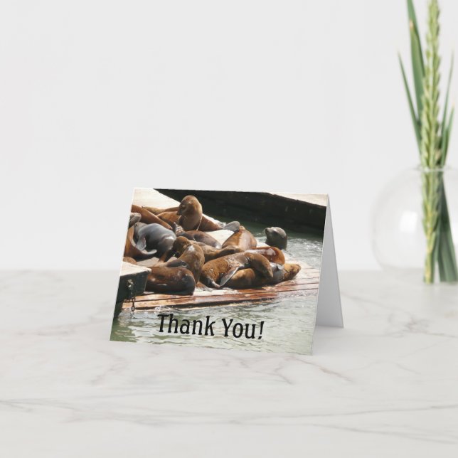 Sunning Sea Lions in San Francisco Thank You Card (Front)