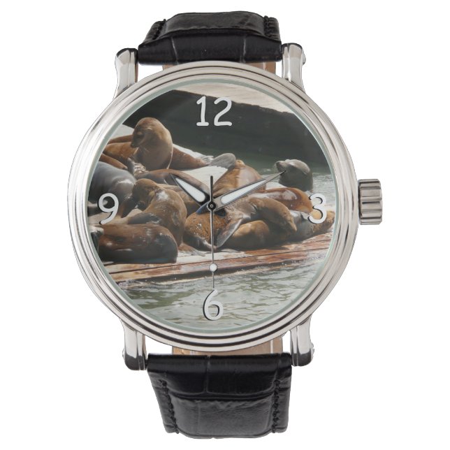 Sunning Sea Lions in San Francisco Watch (Front)