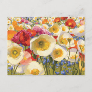 Sunny Abundance Postcard