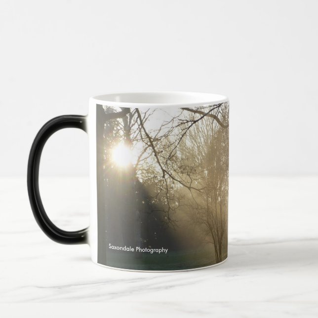 'Sunny Ancient Trees' Mug (Left)