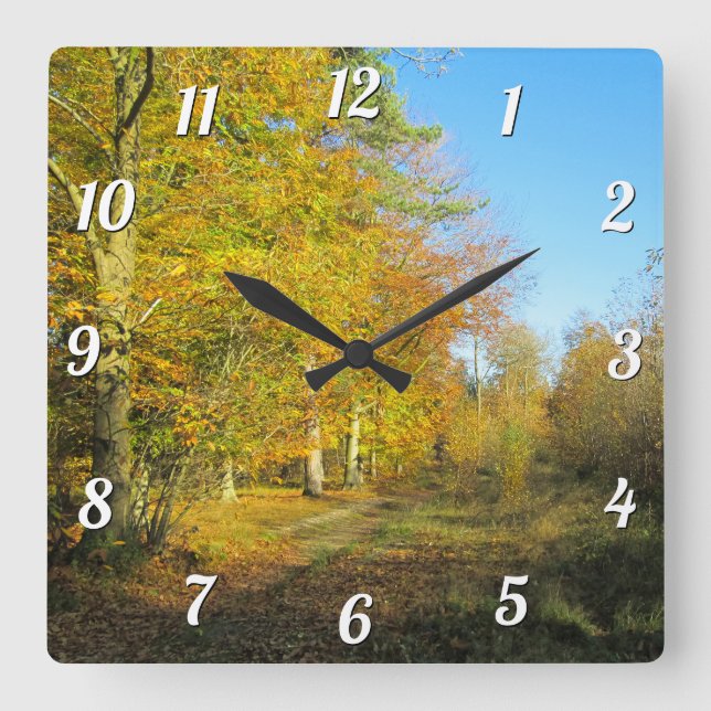 Sunny Autumn Walk - Custom Square Wall Clock (Front)