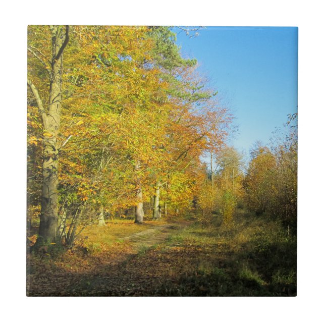 Sunny Autumn Walk - Personalized Ceramic Tile (Front)