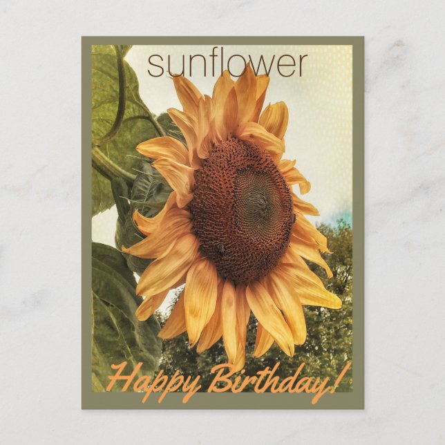 Sunny Birthday Wishes Postcard (Front)