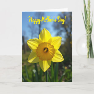 Sunny Bloom Mothers Day Card