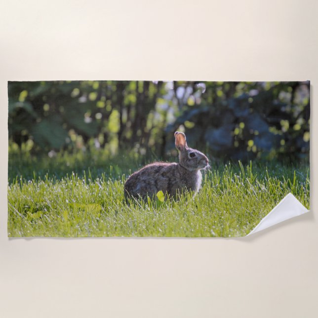 Sunny Bunny Beach Towel (Front)
