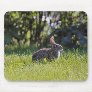 Sunny Bunny  Mouse Pad