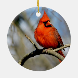 Sunny Cardinal Crest Premium Ornament