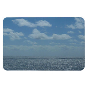 Sunny Caribbean Sea Blue Ocean Magnet