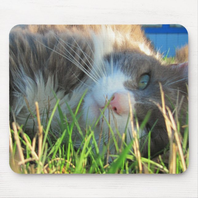 Sunny Cat is Sunny Mouse Pad (Front)