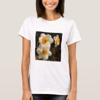 Sunny Daffodil
